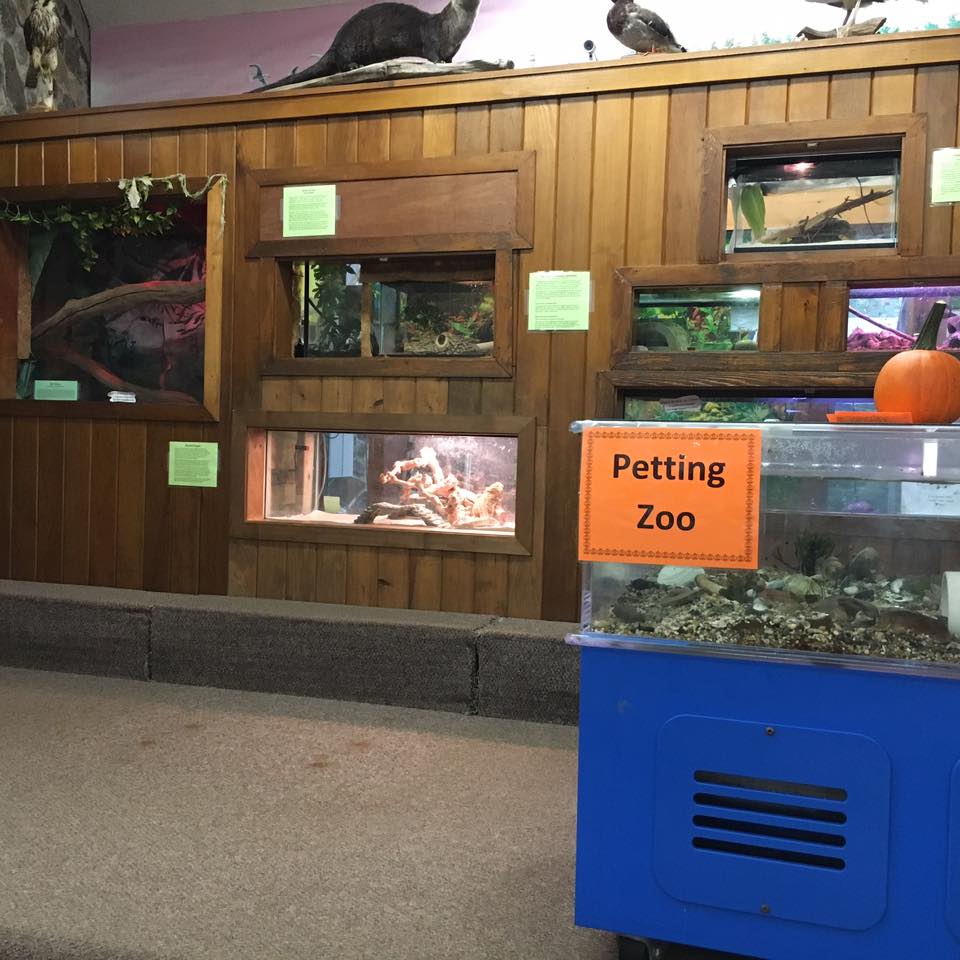 Ansonia Nature & Recreation Center Visit CT